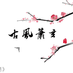 扬鞭策马踏轮回