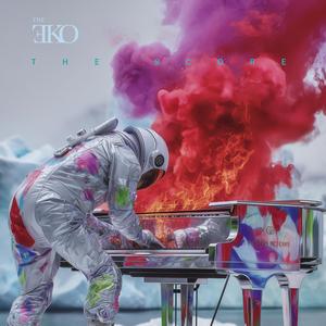 Une araignée sur sa toile