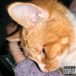 丸子（Prod.NoBirthday）