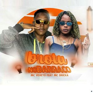 Brota no Barraco (feat. Mc Dricka)