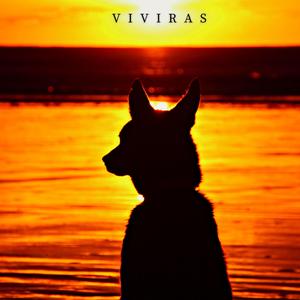 Viviras