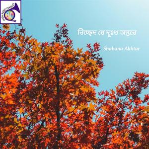 বন্ধের বিচ্ছেদ