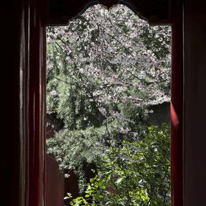 对不起真都不爱你了