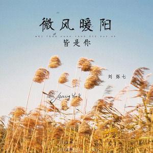微风暖阳皆是你 (伴奏)