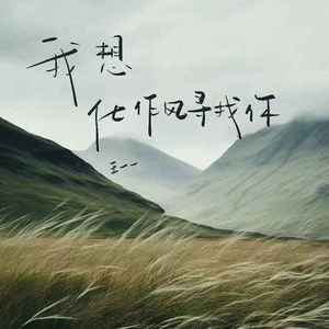 我想化作风寻找你