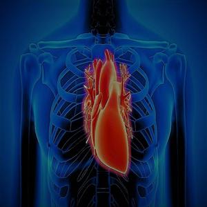 ~ARTerY...