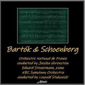 Concerto for Orchestra, Sz.116: I. Introduzione. Andante non troppo (Live)