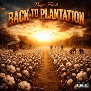 Back to the Plantation