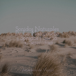 Vuelo de los Sueños Emplumados