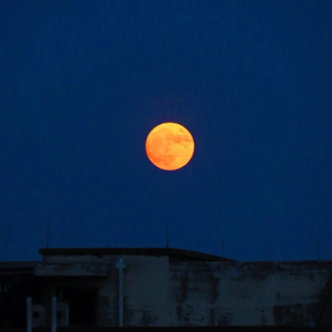 夜晚的灯光刚好能照亮你