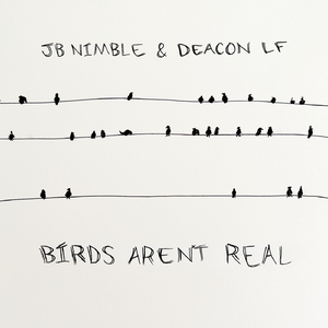 Birds Aren't Real