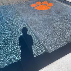 What u on (feat. mir)