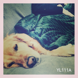 Asatsune (j'aurais voulu le faire en Sol min)