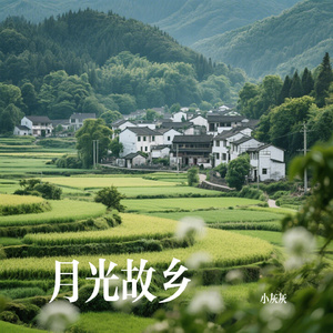 月光故乡