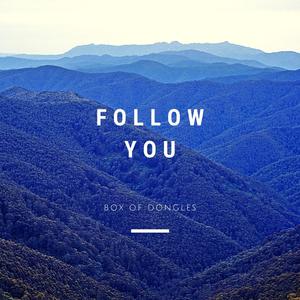 Follow You