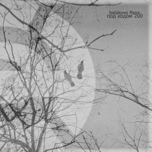 Немые домыслы