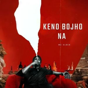 Keno Bojho Na