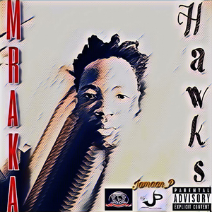 Hawks (Original Mix)