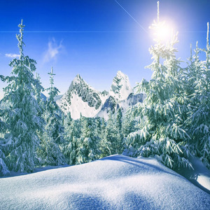 바람의 뉴에이지 (휴양지의 바람)