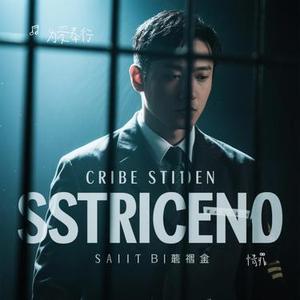 情罪 (Cover 陈瑞)