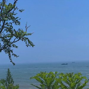 安河桥(间奏)
