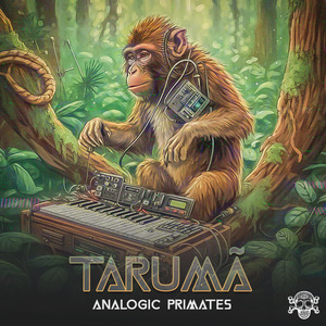 Ascension or Destruction