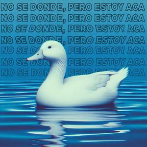 ya se que es el amor