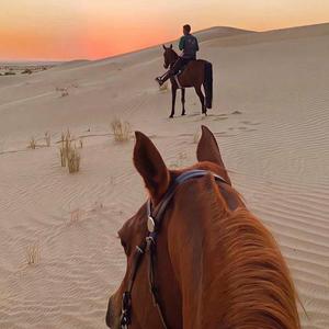 katta yaylak（ 大草原）