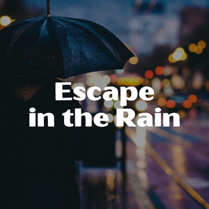 Rain on a Window