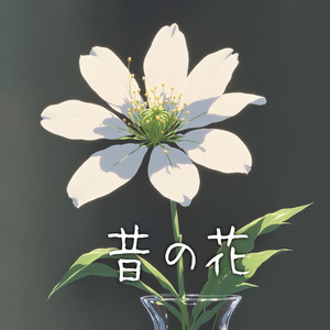 昔の花