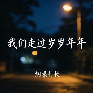 我们走过岁岁年年