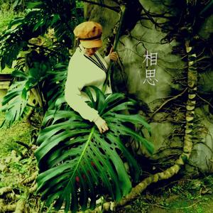 相思（Cover：毛阿敏）