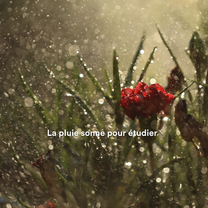 Bruit de goutte de pluie