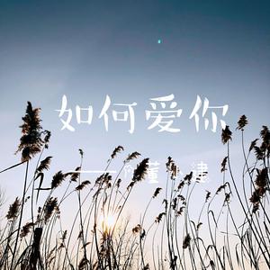 如何爱你