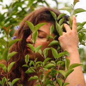 Plantas