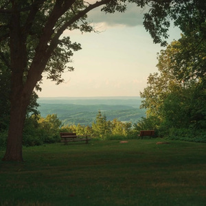 醒着醉（翻自 马良）