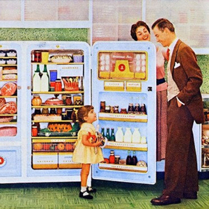 Shut the Refridgerator Door