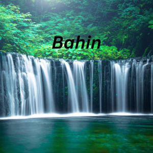 Bahin