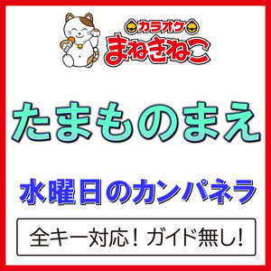 たまものまえ（カラオケ）[Originally Performed By 水曜日のカンパネラ]