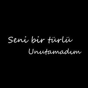 Seni Bir Türlü Unutamadım