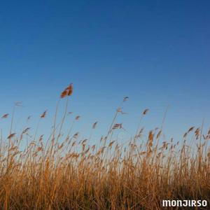 monjirso