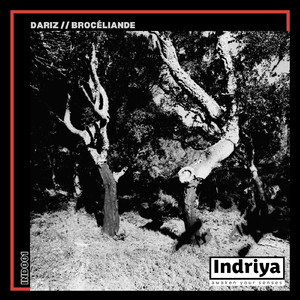 Brocéliande (radio edit)