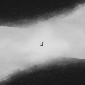 Downfall
