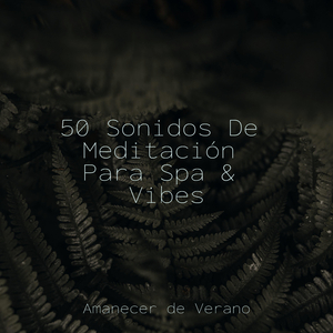 Celestiales Dormidos