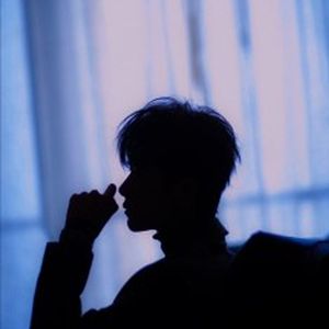 静-成品