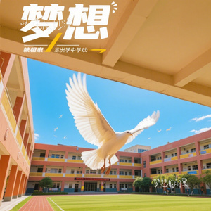 梦想的羽翼