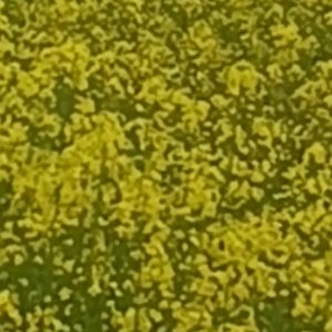 国风曲《忆渡醇香》升级版定稿.mp3