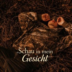 Schau in mein Gesicht (feat. Dari)