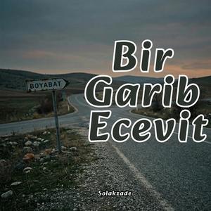 Bir Garip Ecevit