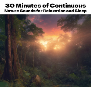 自律神経を整える 睡眠用リラックス音楽 睡眠の質を高め情緒安定・集中力向上 (3分で眠れる雨音)